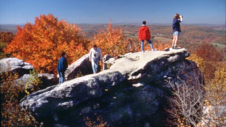 Garrett County Rocks and Trees