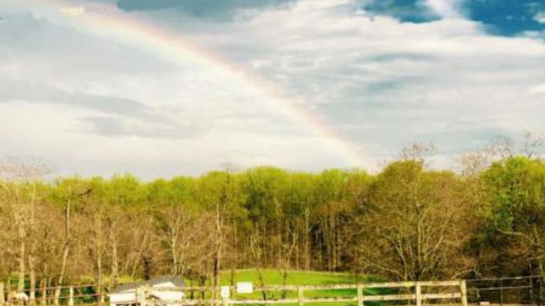 Graham Equestrian Center property with a rainbow overhead