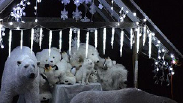 Holiday lights display