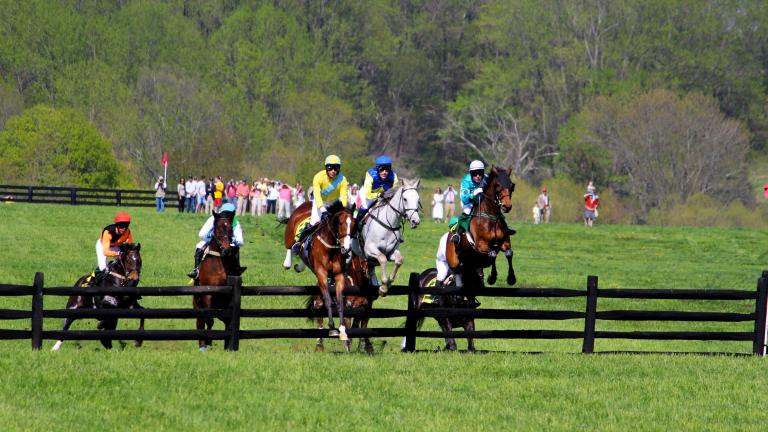 The Maryland Hunt Cup