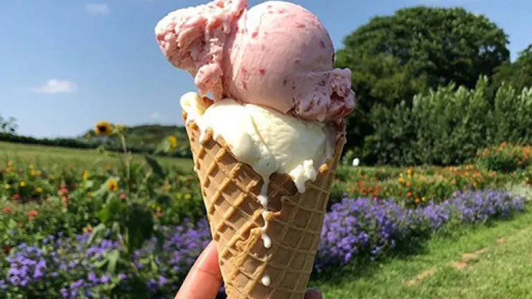 Ice Cream Cone with Vanilla and Strawberry Ice Cream