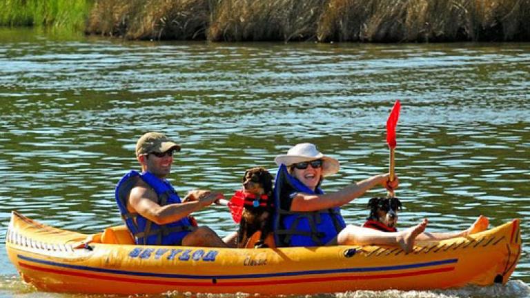 A man, woman, and dog kayaking on a river