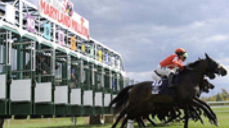 Jim McKay Maryland Million Horse Race