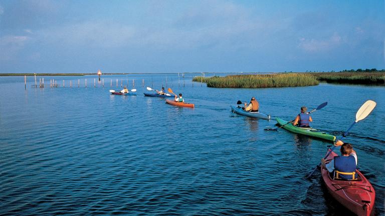 Janes Island is an ideal spot for watersports like kayaking.