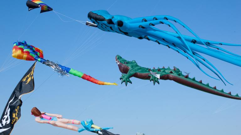 Maryland International Kite Expo