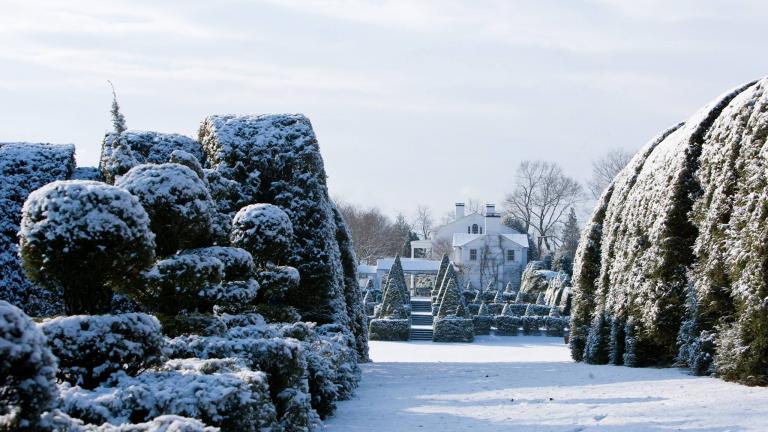 Don't be afraid of a little snow! Ladew's 100 larger-than-life topiary farms sparkle in winter.