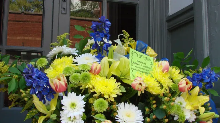 May Day on Main Street - Annapolis