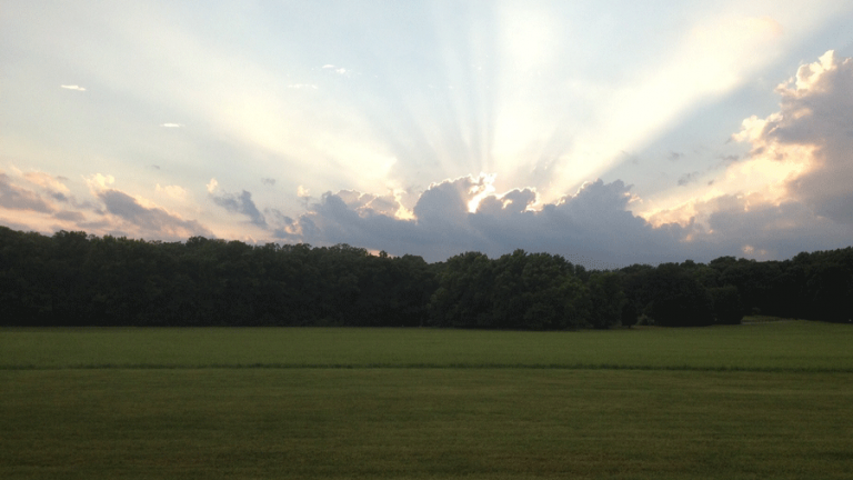 Merkle Wildlife Sanctuary