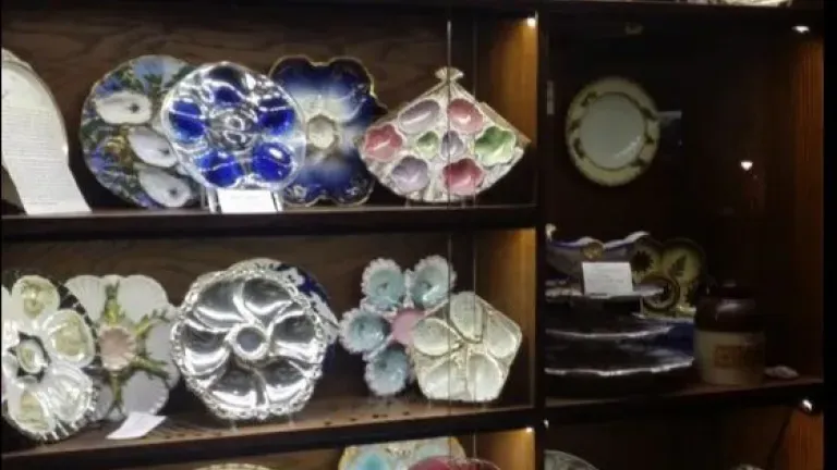 Miss Betty's Collection of Oyster Plates on Display at Fisherman's Inn Restaurant