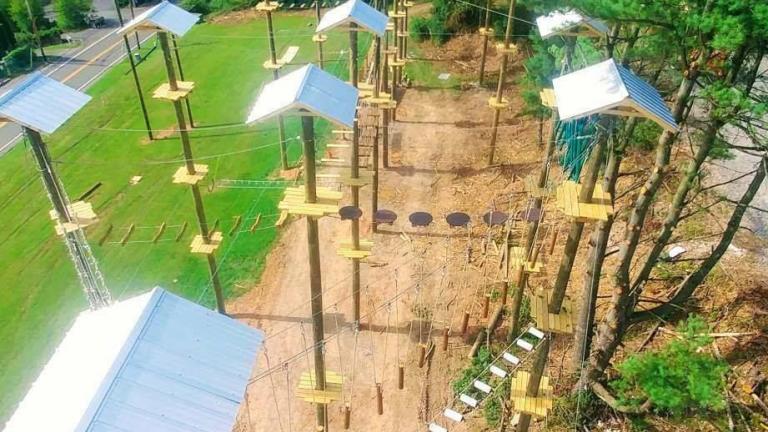 View of Monkey Business Adventure Park