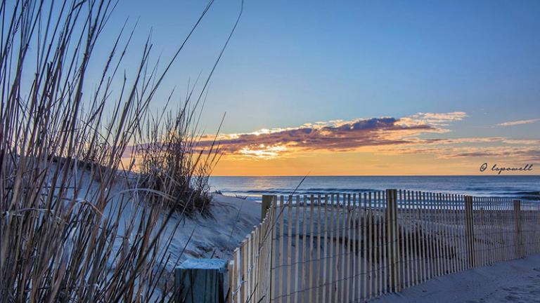 Ocean City Beach