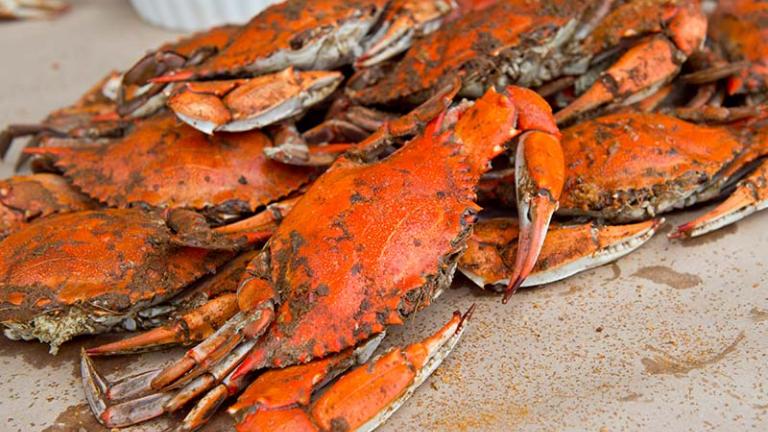 April through December are the best months to eat fresh steamed Maryland blue crabs, and there's no shortage of supply at the crab houses along this byway.