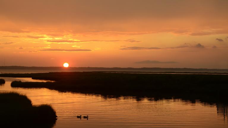 Ocean City Sunset