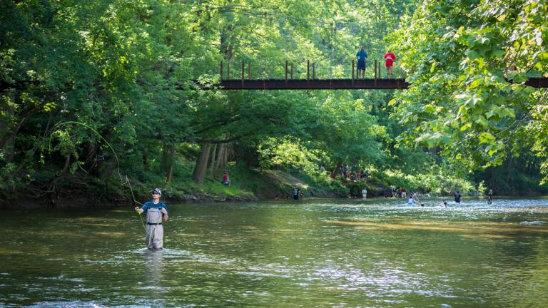 Patapsco Valley State Park is a wooded oasis along the Patapsco River between Ellicott City and Elkridge.