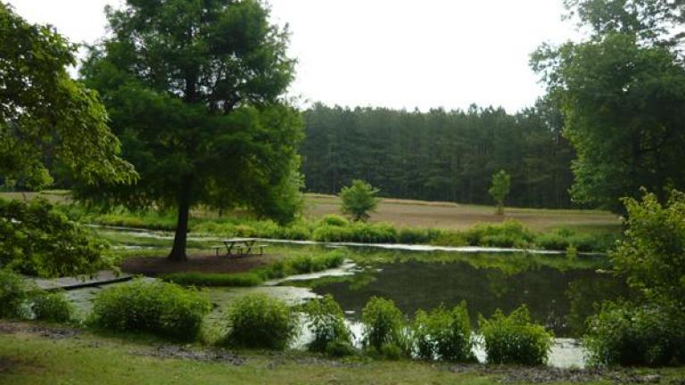 Pemberton Historical Park