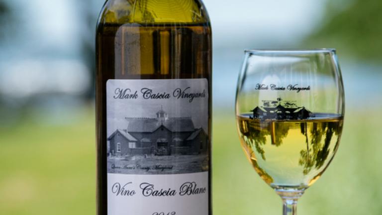 Close-up of a Bottle of Cascia Wine with a Glass