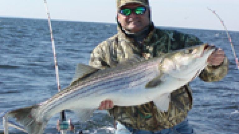 Bill Miles displaying his rockfish