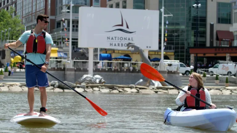 Man on a stand-up paddleboard and a woman in a canoe.