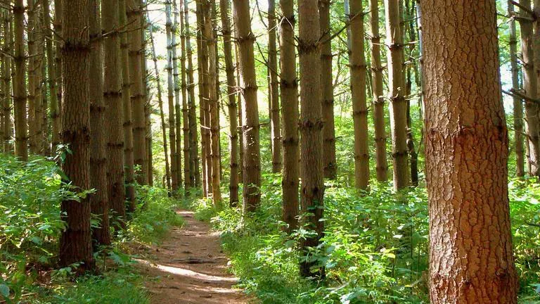 Seneca Creek State Park, Gaithersburg