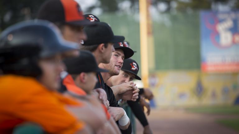 Shorebirds Dugout