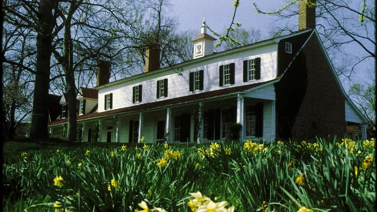 With wine tastings, concerts, and a preserved slave cabin, there's always something to discover at Sotterley.