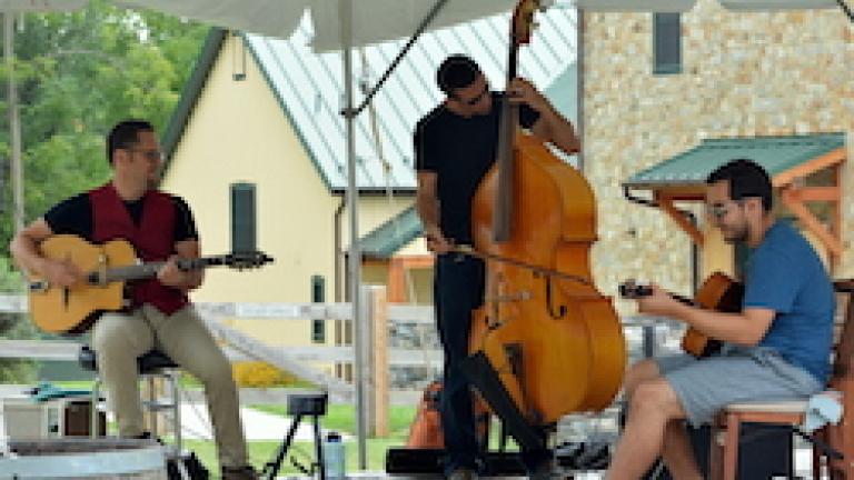 bluegrass performers