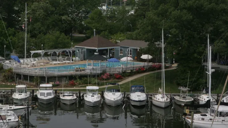 Spring Cove Marina