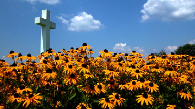 St. Clements Cross with a field of Black-Eyed Susans