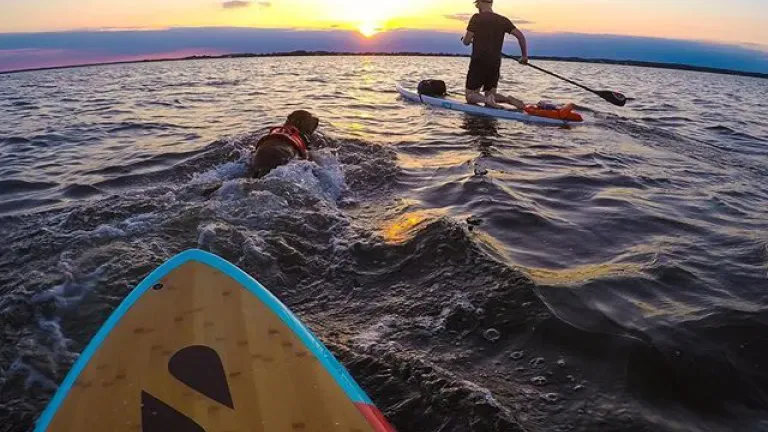 Sunset Paddle