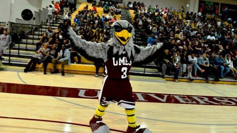 University of Maryland Eastern Shore Mascot