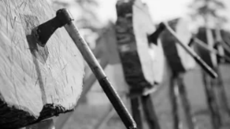 Hammer throwing at logs