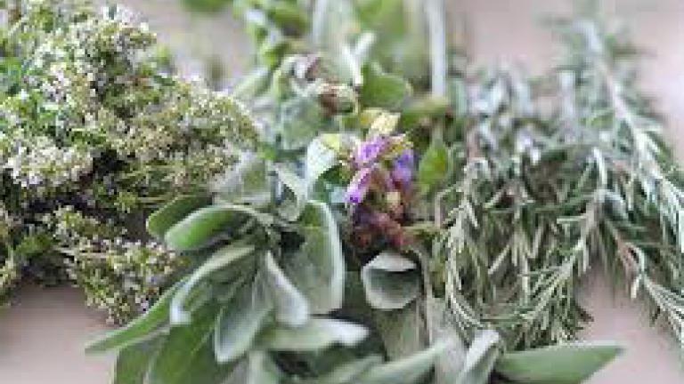 Image of herbs