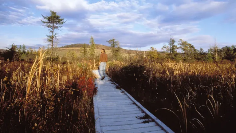 Cranesville Swamp Preserve