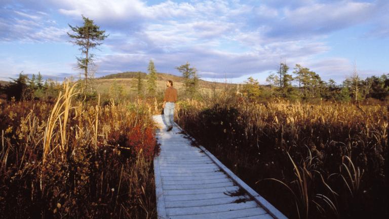 Cranesville Swamp Preserve