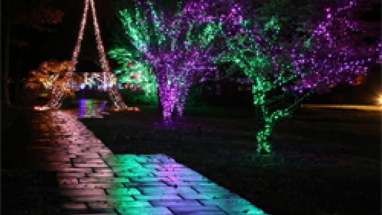 holiday lights