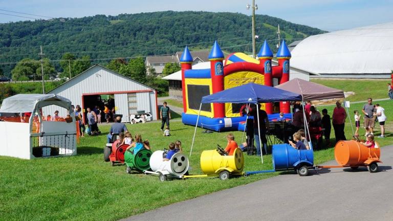 Country Fest and Auction in McHenry
