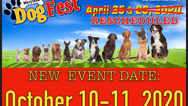 Maryland DogFest