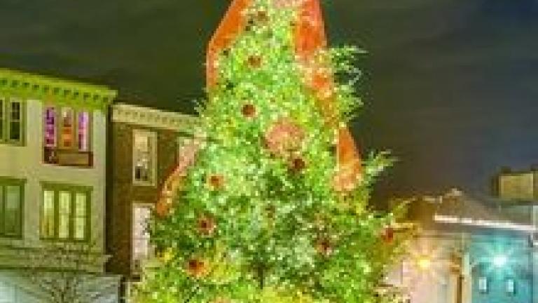 Grand Tree With Lights