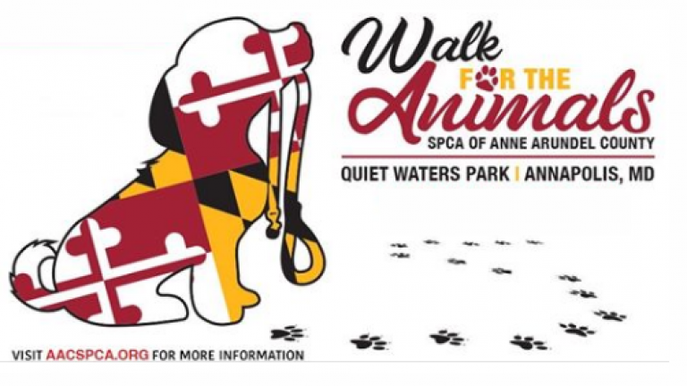 MD flag puppy design