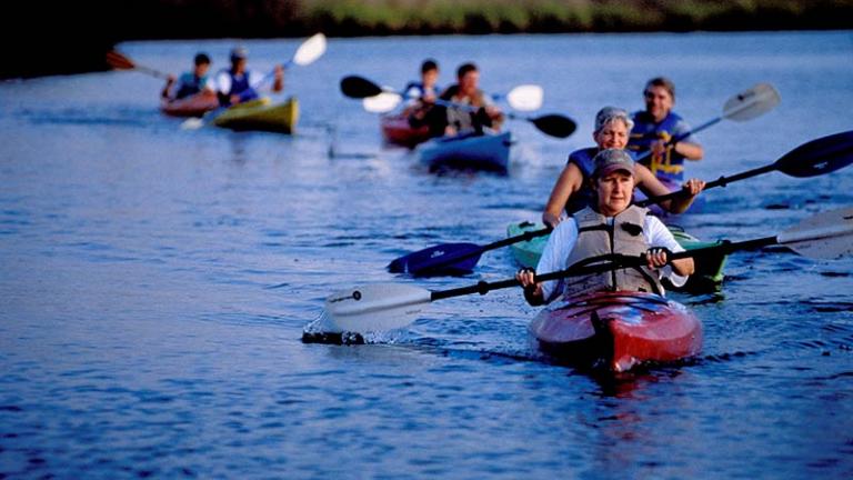 Janes Island State Park is nearly surrounded by the Chesapeake Bay and its inlets. It has rental cabins, camping and miles of isolated shoreline and marsh areas.