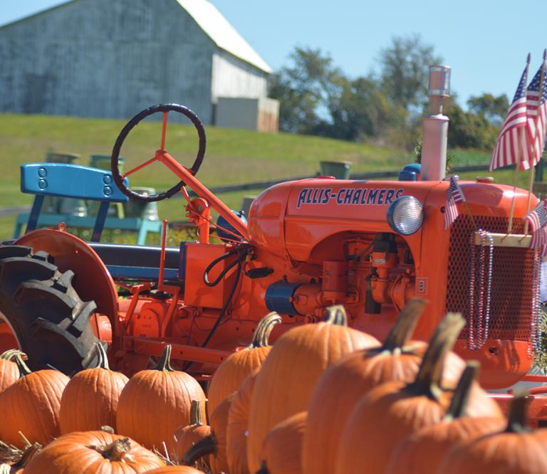 Picture of a Farm Tractor and Pumpkins.
