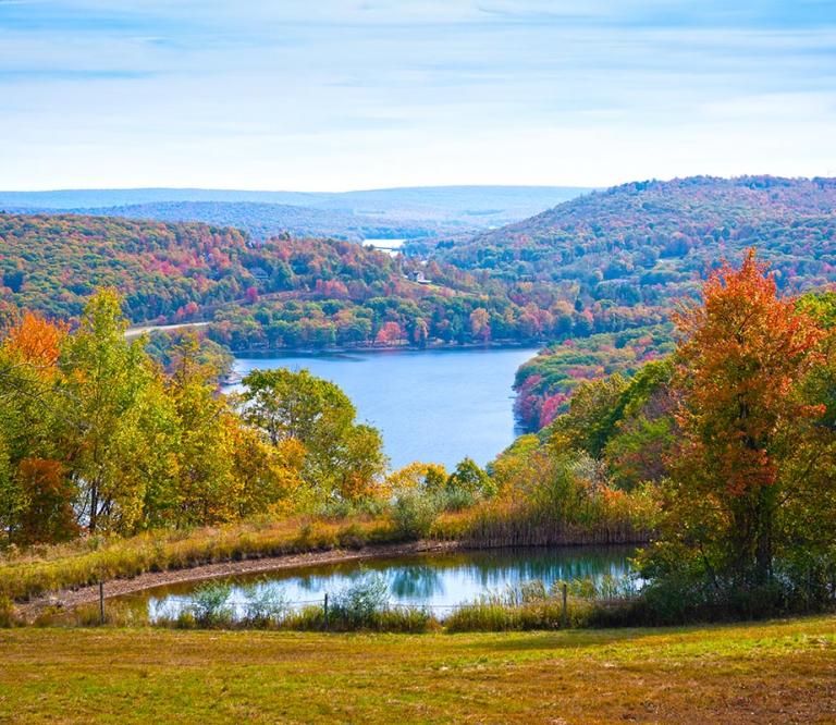 Scenic View in Deep Creek