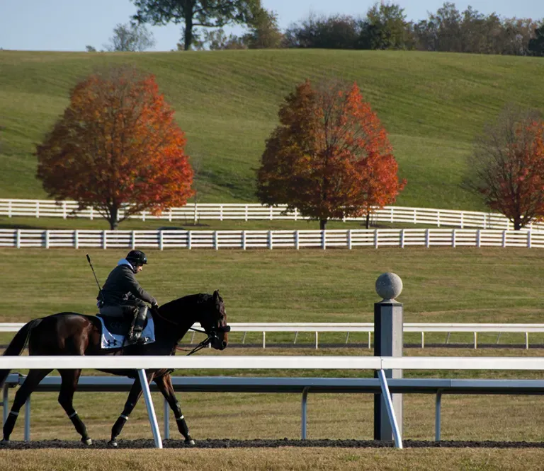 Horse  and rider at Sagamore Farm