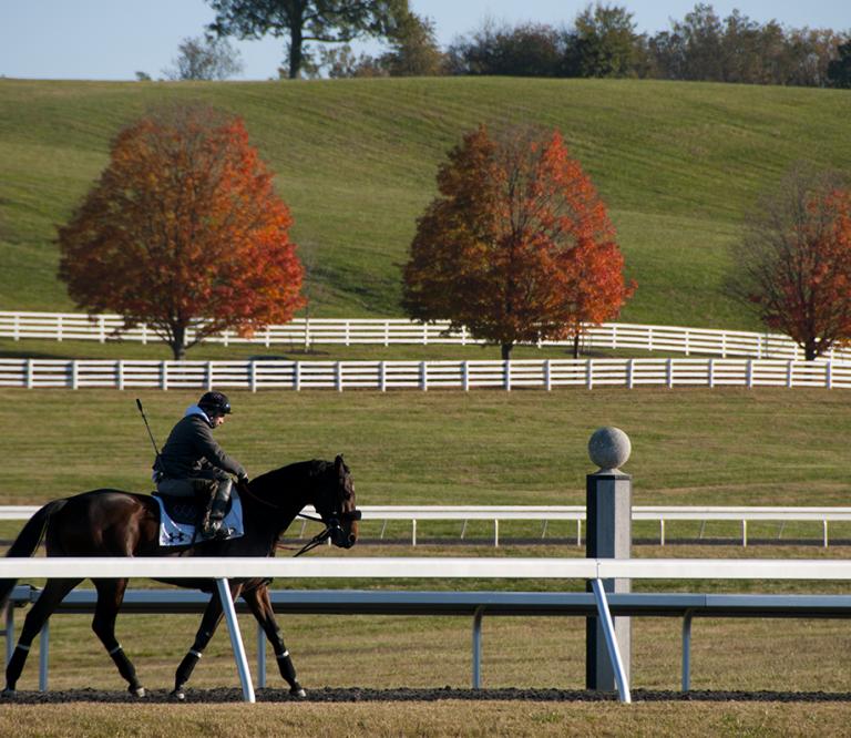 Horse and rider at Sagamore Farm