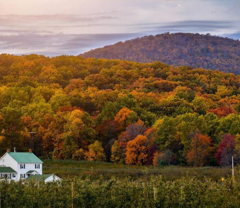 Catoctin Mountains