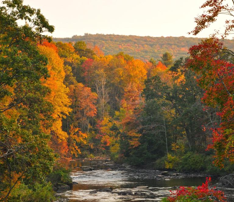 Youghiogheny River in the Fall