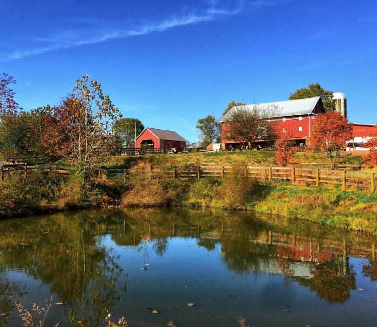 Rocklands Farm Winery