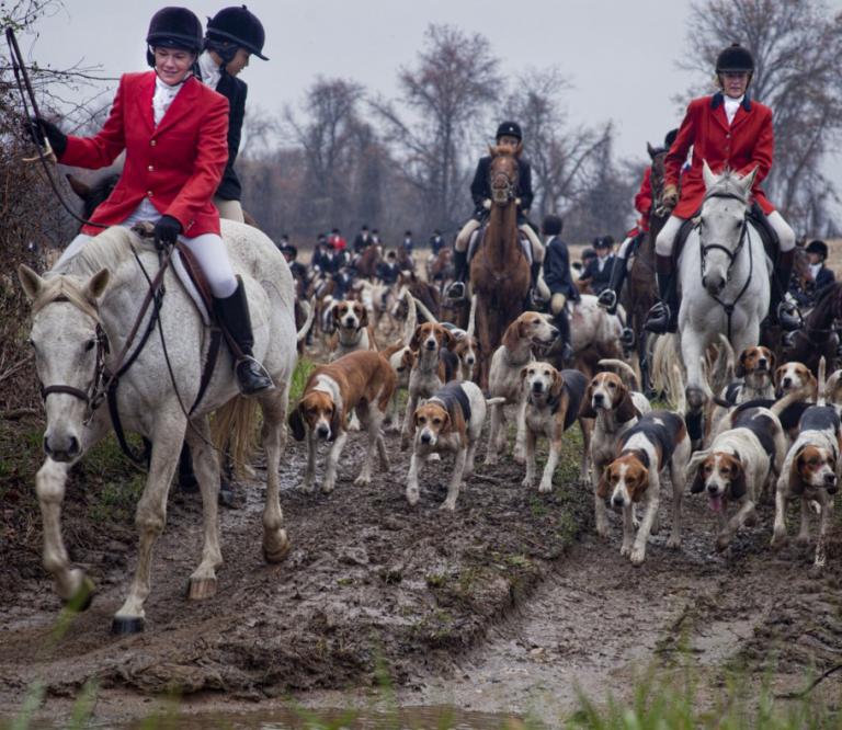Fox hunting events in Baltimore County carry on a tradition that British colonist Robert Brooke first brought to North America in 1650 when he settled in southern Maryland.