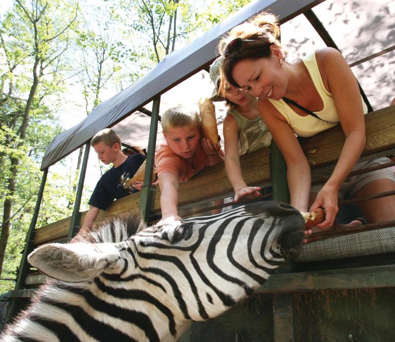 Zoo safari at the Catoctin Wildlife Preserve and Zoo in Thurmont