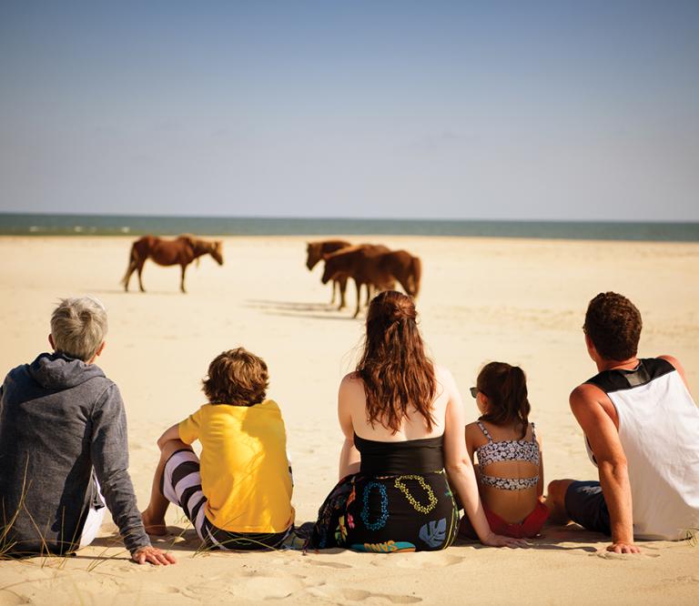 Family watching ponies on Assateague